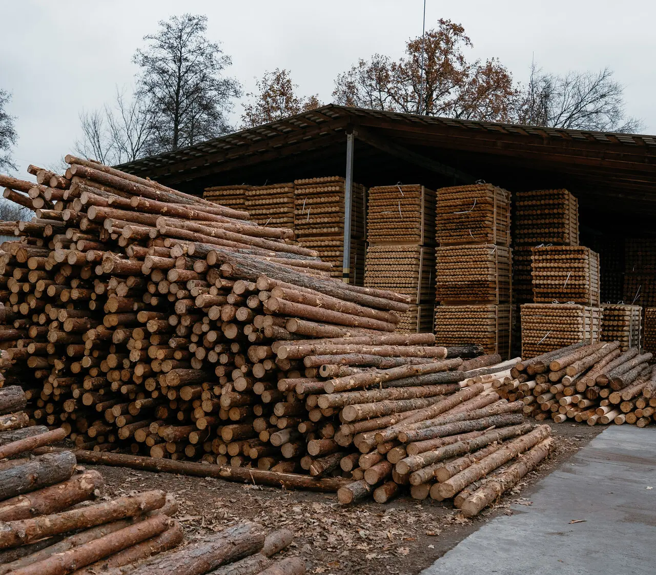 Продукція Лісотехнолог — фото 8